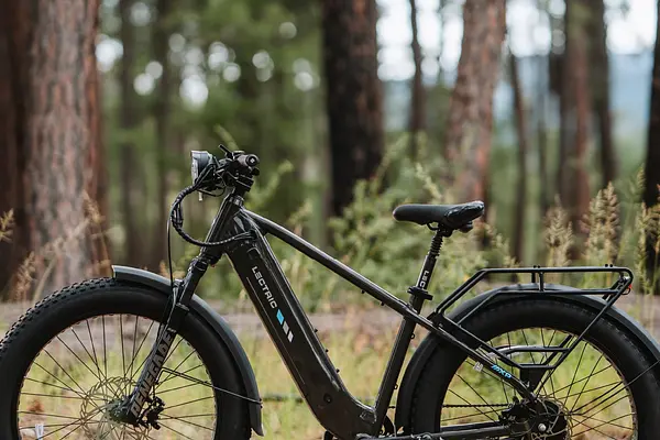 Mountain e-bike