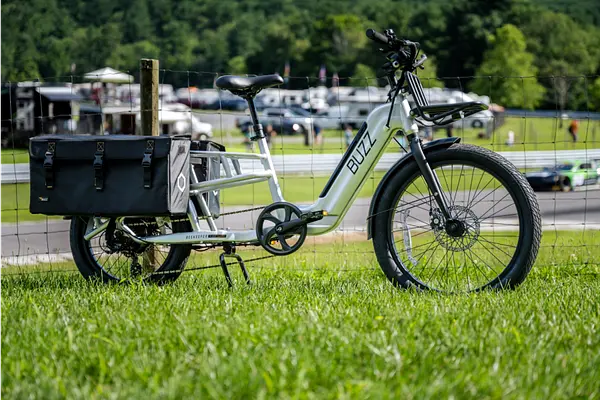 Buzz e-bike