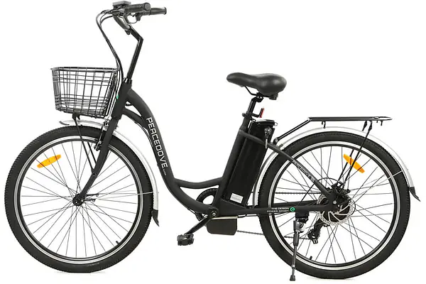 Ecotric e-bike