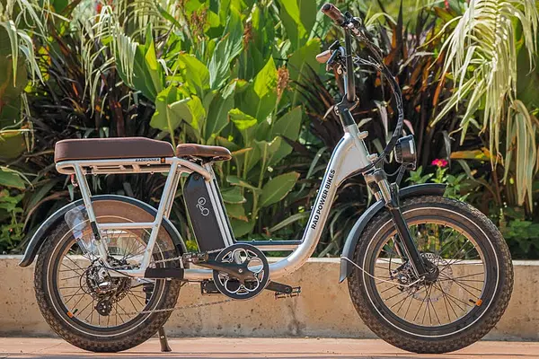 Rad Power Bikes RadRunner Plus Review