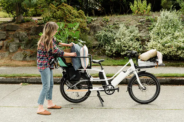 Cargo e-bike